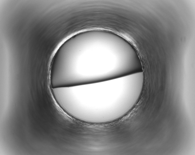 X0000087041524200705021126