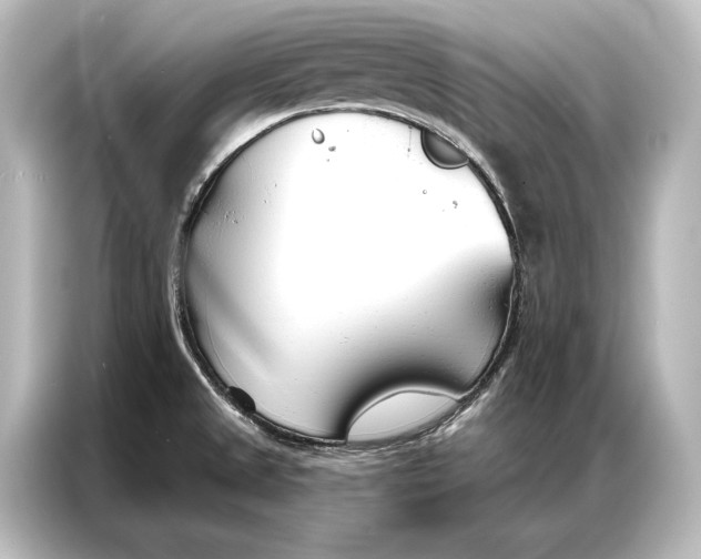 X0000087041525200705021126