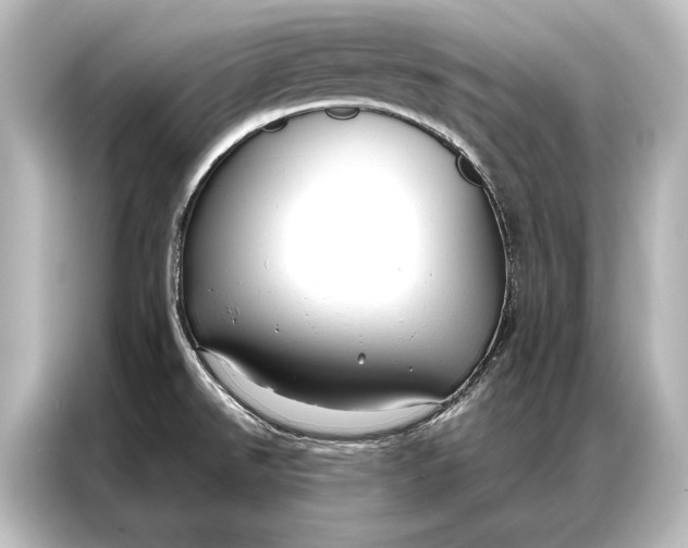 X0000087041526200705021126