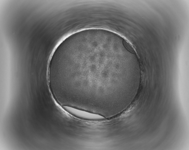 X0000087041527200705021126