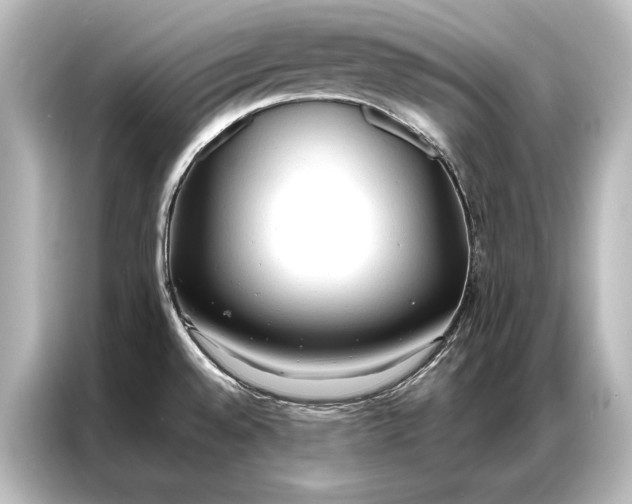X0000087041528200705021126