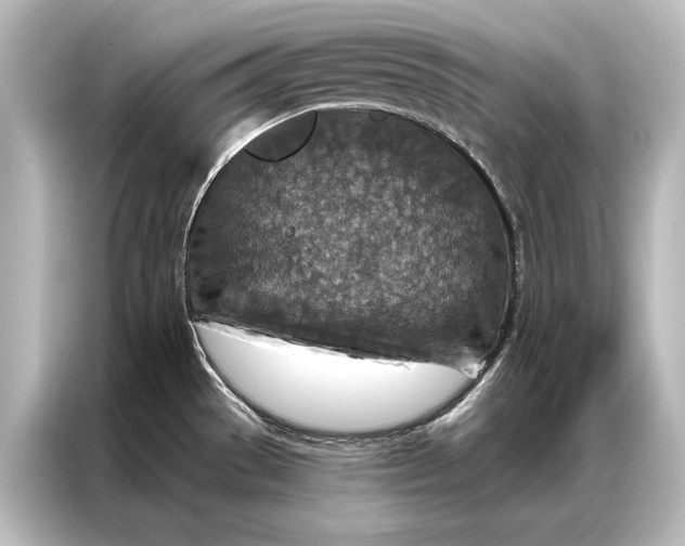 X0000087041529200705021126