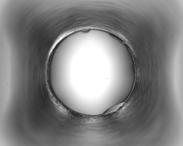 X0000087041530200705021126