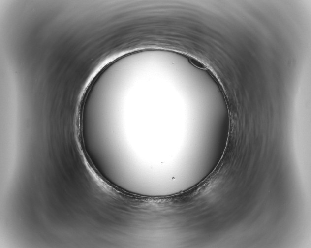 X0000087041531200705021126