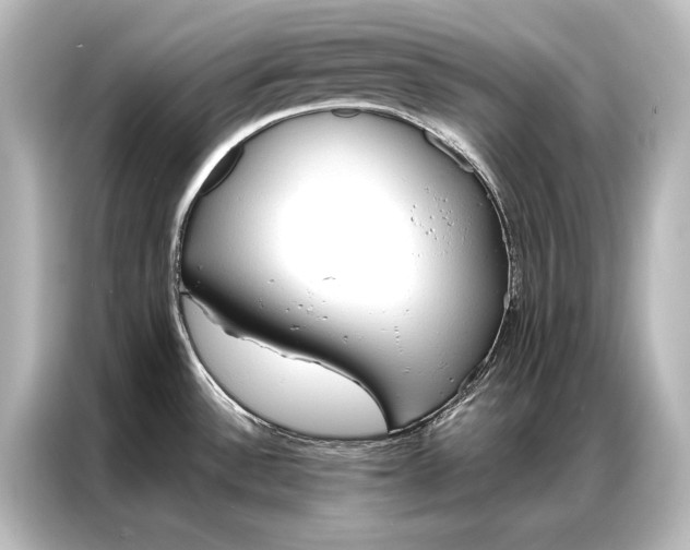 X0000087041532200705021126