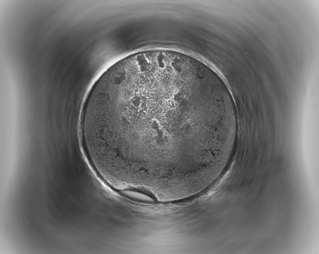 X0000087041533200705021126