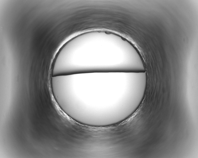 X0000087041534200705021126