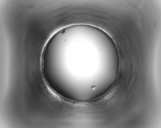 X0000087041535200705021126
