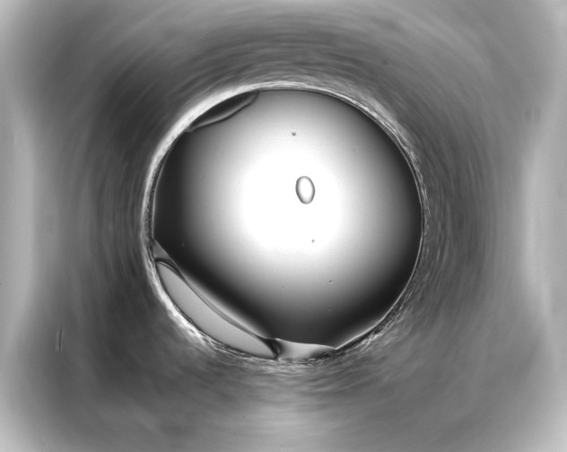 X0000087041536200705021126