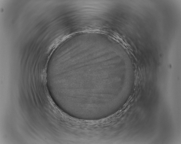 X0000087040002200705091122