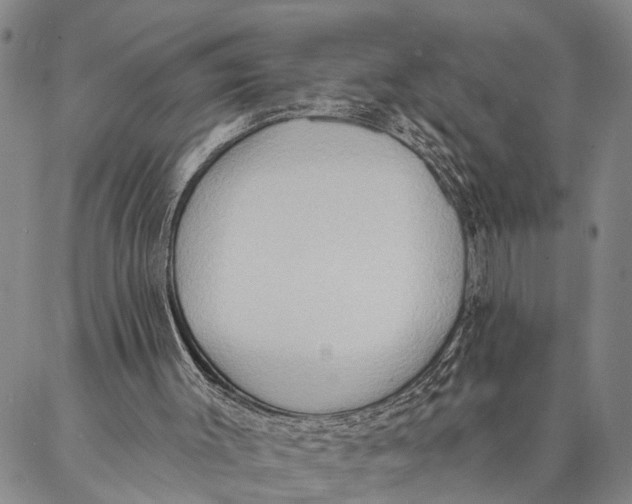 X0000087040003200705091122