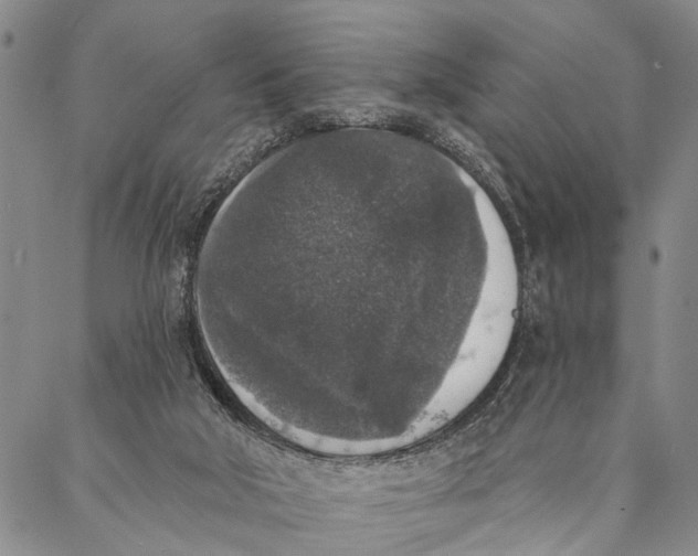 X0000087040018200705091122