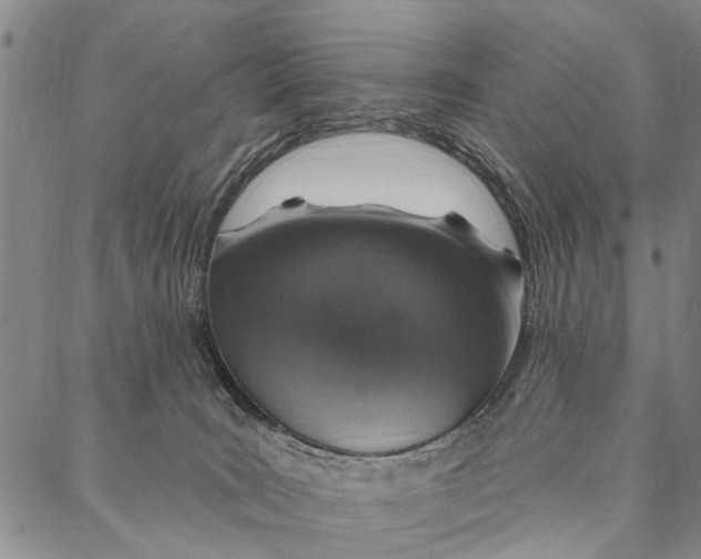 X0000087040035200705091122