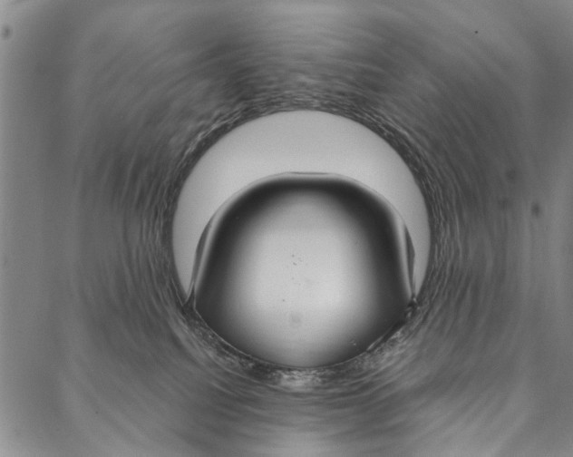 X0000087040088200705091121