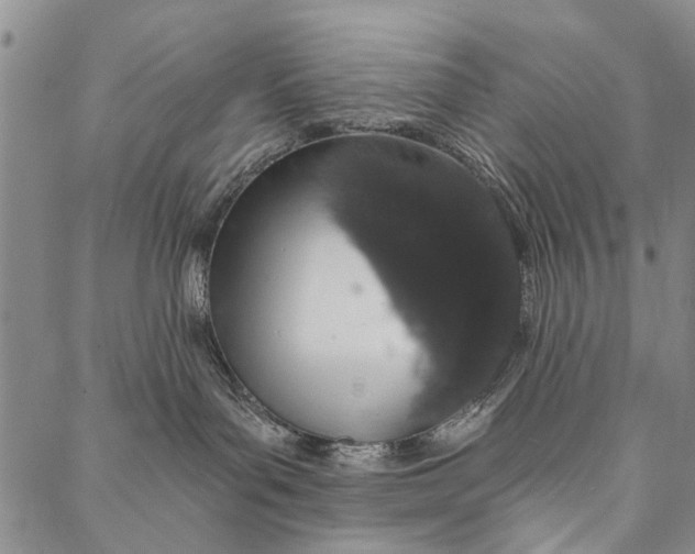 X0000087040143200705091120