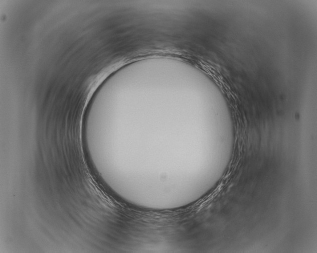 X0000087040148200705091119