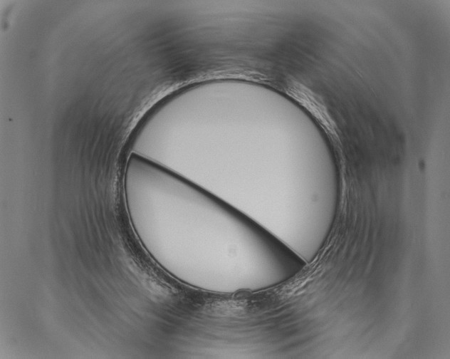 X0000087040156200705091119