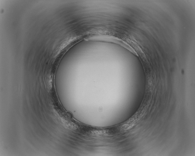 X0000087040160200705091119