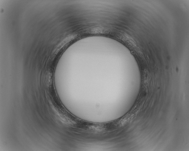 X0000087040164200705091119