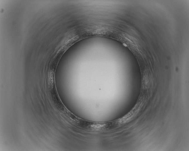 X0000087040172200705091120