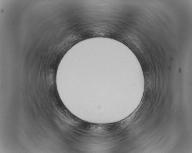 X0000087040174200705091120