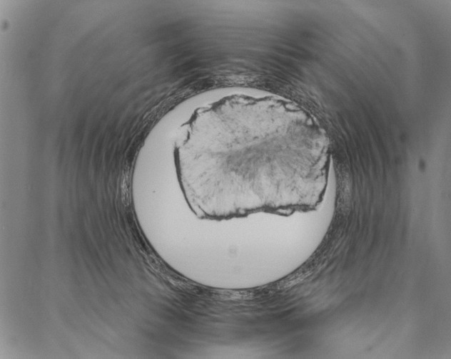 X0000087040177200705091120