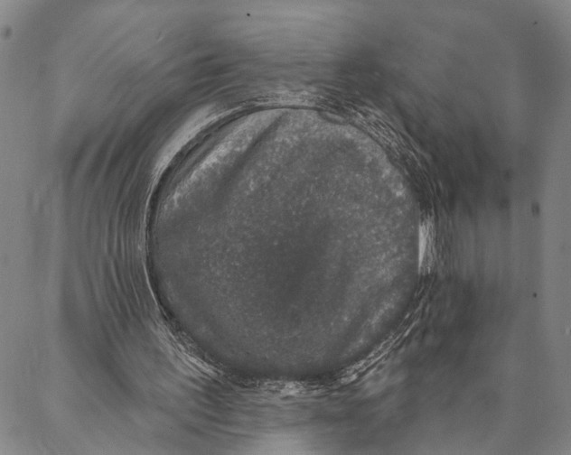 X0000087040195200705091119