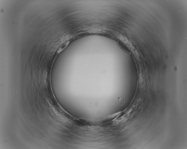X0000087040201200705091119