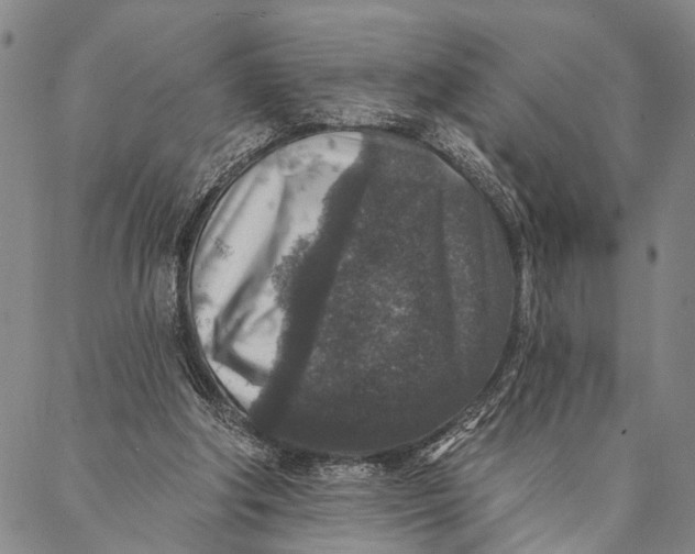 X0000087040202200705091119