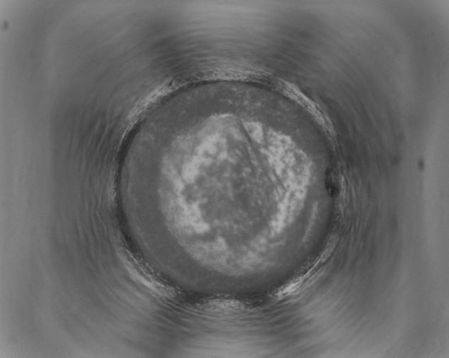 X0000087040203200705091119