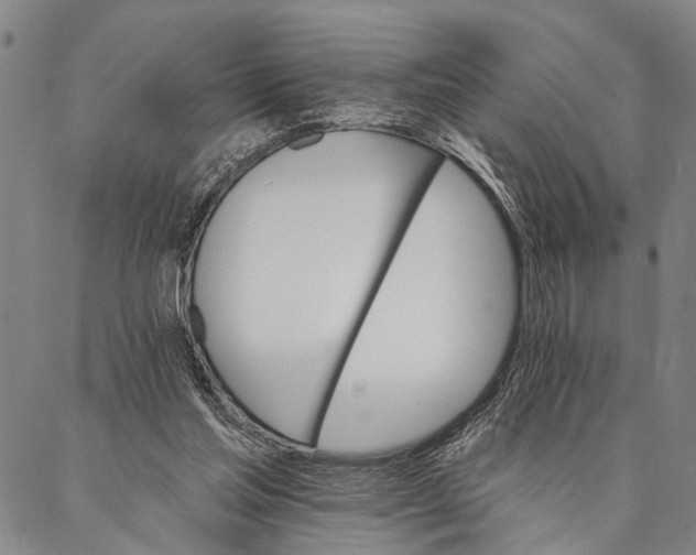 X0000087040205200705091119