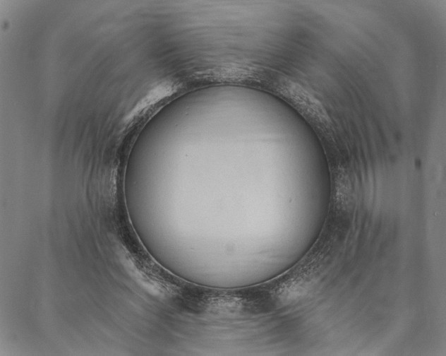 X0000087040206200705091119