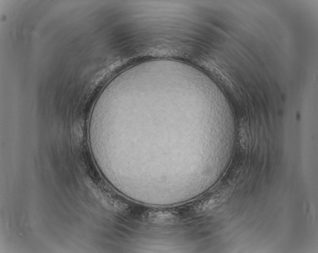 X0000087040208200705091119