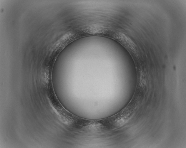 X0000087040210200705091119