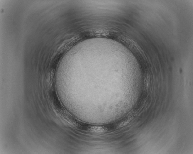 X0000087040218200705091119