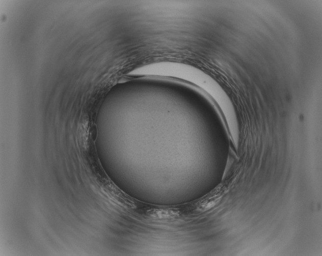 X0000087040223200705091119