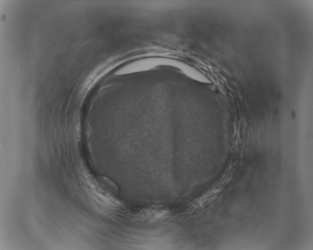 X0000087040247200705091118