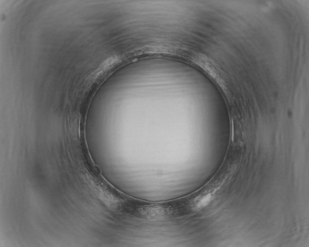X0000087040253200705091118