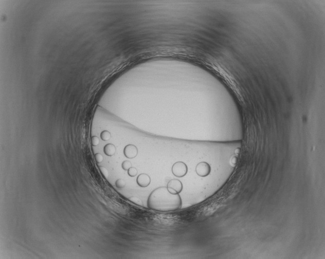 X0000087040261200705091118