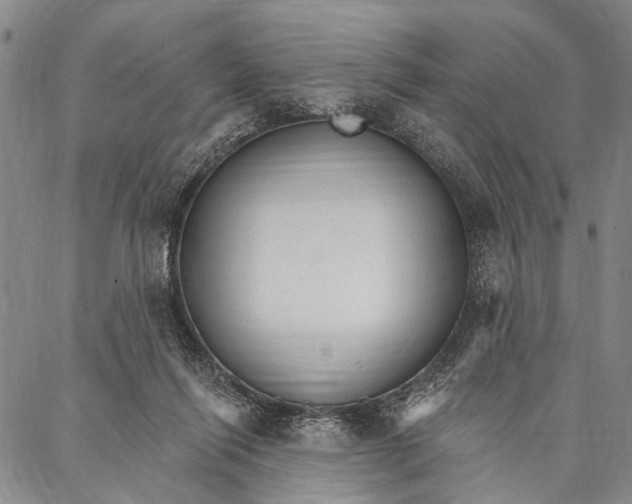 X0000087040262200705091118