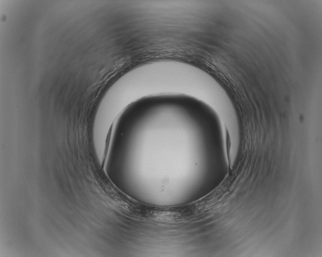 X0000087040268200705091118
