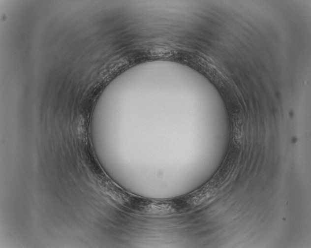 X0000087040270200705091118