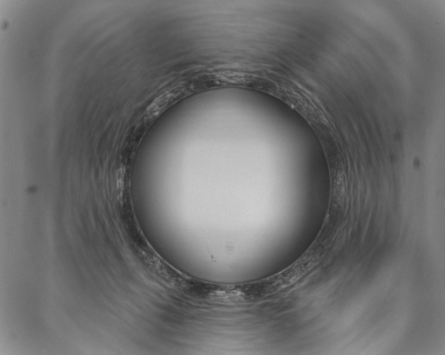 X0000087040271200705091118