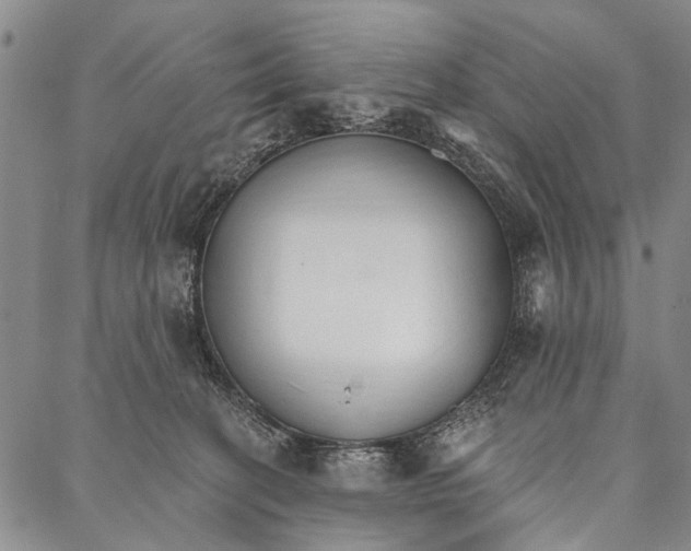 X0000087040274200705091118