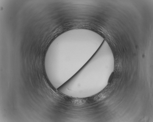 X0000087040277200705091118