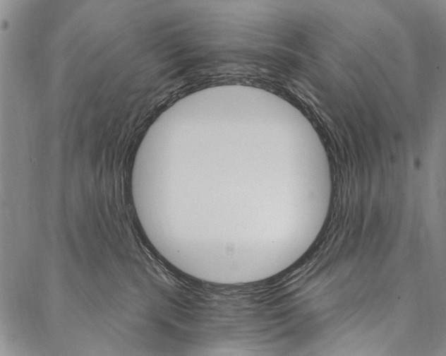 X0000087040283200705091118