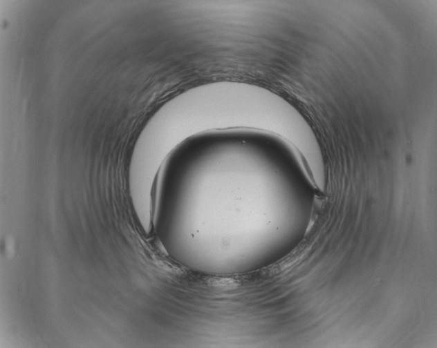 X0000087040287200705091118