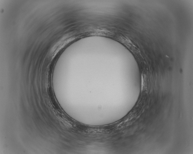 X0000087040291200705091118