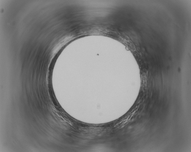 X0000087040292200705091118