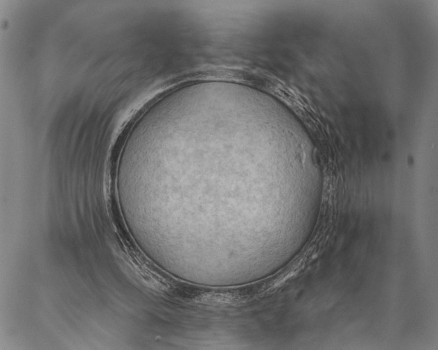 X0000087040294200705091117